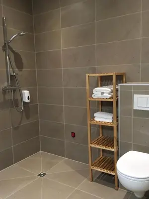 a bathroom with a shower and a toilet and a shelf at Orshof in Oudsbergen