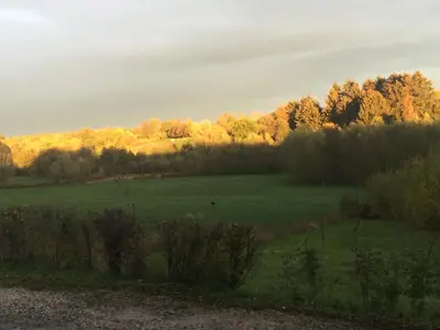 a green field with trees in the background at fermette in Lontzen