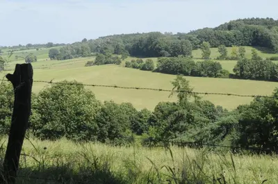 a barbed wire fence with a view of fields and trees at Hotel Restaurant De Kommel in Voeren