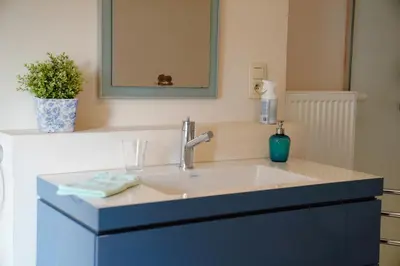 a bathroom with a white sink and a mirror at De Koetsier in Lanaken