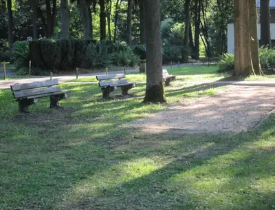 three park benches sitting in the grass in a park at Hengelhoef vakantieverblijf DEN 5 in Houthalen-Helchteren