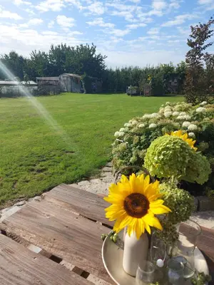 a vase with a sunflower sitting on a wooden table at Widdingenhof in Wellen