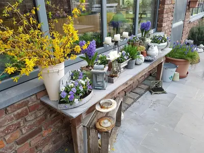 a bunch of potted plants sitting on a table at Widdingenhof in Wellen