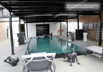 a large swimming pool with a chair and a table at Hotel Monte Cristo in Hoeselt
