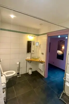 a bathroom with a toilet and a sink at Hotel L'Ami du Chambertin in Thimister
