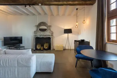 a living room with a couch and a fireplace at Martin's Rentmeesterij in Bilzen