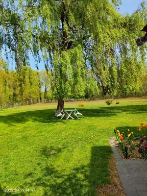 a picnic table under a tree in a park at De Stille Weier in Genk
