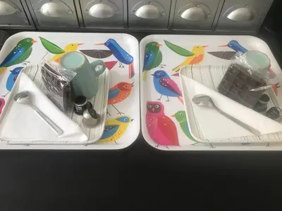 two plastic trays with birds on them in an airplane at Au 194 in Liège