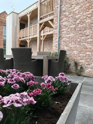 a table and chairs and flowers in a garden at B&B Sasput in Hasselt