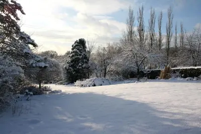 a snow covered yard with a christmas tree and trees at B&B Le Jardin d'Epicure in Olne
