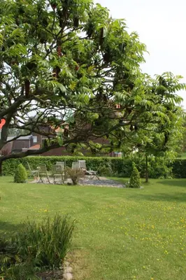 a park with a tree and benches in the grass at Het Pachthof in Borlo