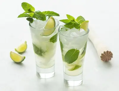 two glasses filled with a drink with lime and mint at Hotel AL Mulino in Maasmechelen