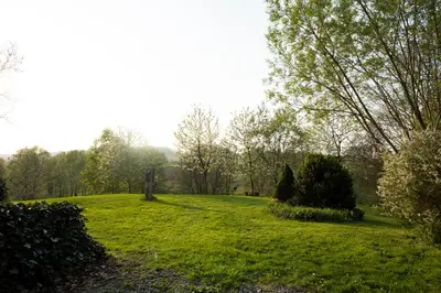 a field of green grass with trees in the background at Bellevue Maison de Greunebennet in Plombières