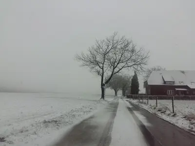 a snow covered road with a tree and a house at Staying with the artist in Teuven