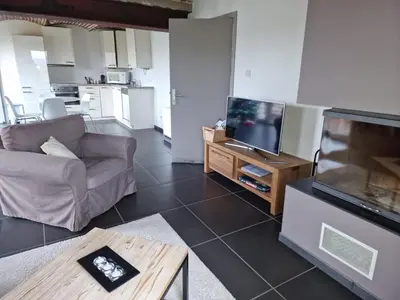 a living room with a couch and a flat screen tv at Gite des étangs à Montzen in Plombières