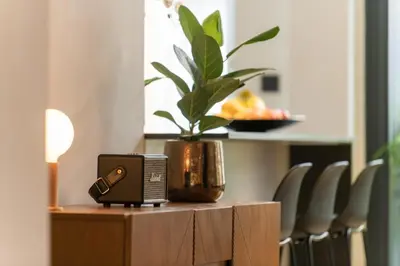 a table with a speaker and a potted plant on it at Appartement Guillemins Station Terrace in Liège