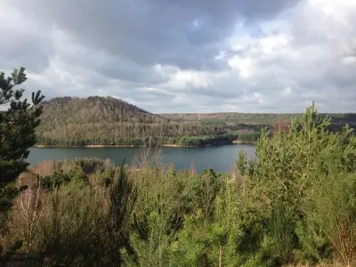 a view of a lake in the middle of a forest at B&B Woods and Wine in As