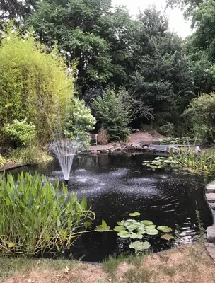 a pond with a fountain in a garden at Cosy Studio met Zwembad in Beringen