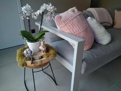 a table with a potted plant and a couch at Vakantiewoning Mierzicht - privé wellness - Haspengouw 6p in Boekhout