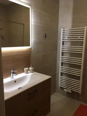 a bathroom with a sink and a mirror at Wijndomein Zwaeneberg in Voeren