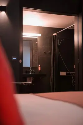 a bathroom with a shower and a sink and a mirror at Hotel Neuvice in Liège