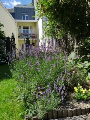 a garden with purple flowers in front of a house at Aux Herbes Folles in Herve