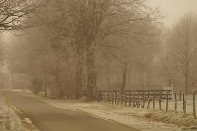 a road with trees and a fence in the snow at Kampenhof in Maaseik