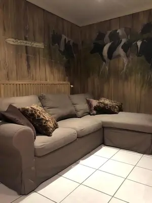 a couch in a room with cows on the wall at Kampenhof in Maaseik