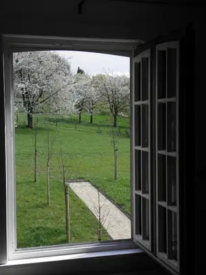 an open window with a view of a field of trees at De Waterkriek in Borgloon