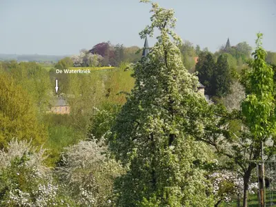 a tree in a field with a sign that reads do witchcraft at De Waterkriek in Borgloon