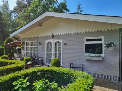 a gray house with a window and bushes at Charme chalet in Zutendaal