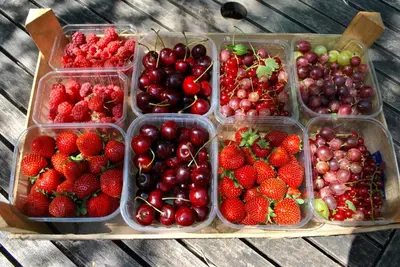 a group of plastic containers filled with strawberries and cherries at De tuin van Agatha in Kortessem