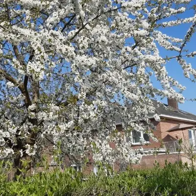 De tuin van Agatha