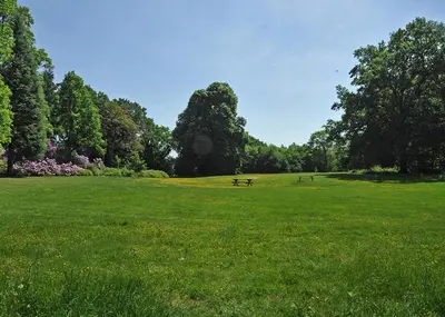 two benches in a grassy field with trees at Het Domherenhuis B&B, Restaurant Calice in Heusden - Zolder