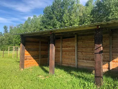 a wooden cabin in a field with trees in the background at Joff in Budingen