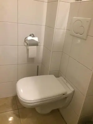 a bathroom with a toilet and a roll of toilet paper at B&B Don Genaro in Dilsen-Stokkem