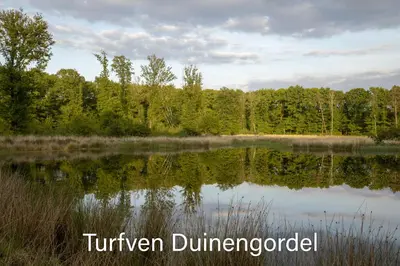 a view of a lake with trees in the background at Vakantiewoning Heidebos in het Nationaal Park Hoge Kempen in Het Laar