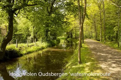 a path in a park with a river and trees at Vakantiewoning Heidebos in het Nationaal Park Hoge Kempen in Het Laar