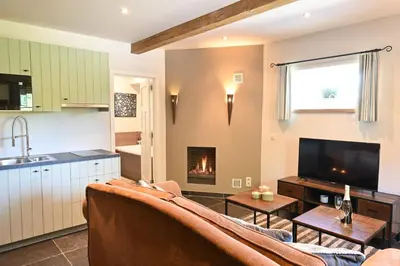 a living room with a couch and a fireplace at Wellness B&B De Zevenslaper in Geetbets
