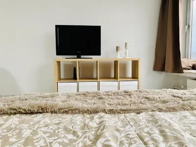 a living room with a tv and a bed at Le Cocon d'Avroy in Liège