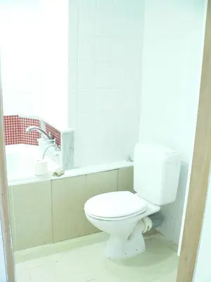a bathroom with a white toilet and a sink at Liège centre 13 Quai Godefroid Kurth POUR 2 PERS à 25 min gare Guillemins in Liège