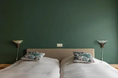 two pillows on a bed with a green wall at B&B De Floreffe in Overpelt