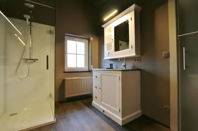 a bathroom with a shower and a sink and a mirror at AMADIS in Kesselt