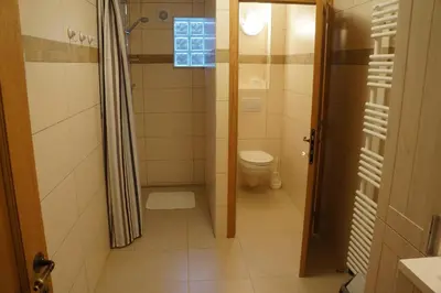a small bathroom with a toilet and a shower at Holiday home La ferme brabant in Voeren