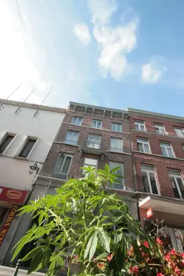 a tall brick building with a tree in front of it at Amosa Liège City Centre Apart Regence 10 in Liège
