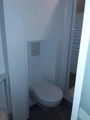 a white toilet in a bathroom with a shower at Hébergement Les Heros in Liège