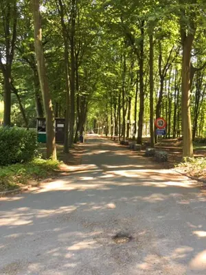 a tree lined road with trees on either side at Acacia 1 Hengelhoef in Houthalen-Helchteren