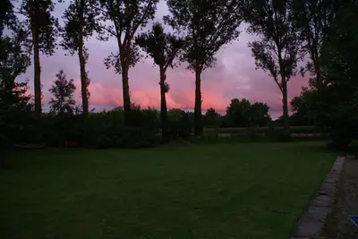 a field with trees and a pink sky at B&B De Metstermolen in Sint-Truiden