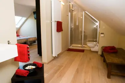 a bathroom with a shower and a toilet in it at De kiezel in Hasselt