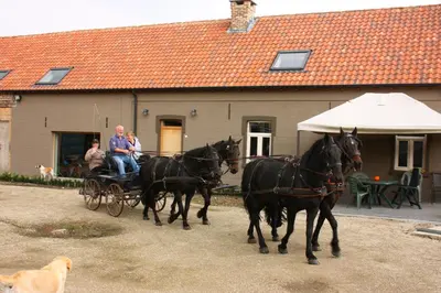 a group of people riding in a horse drawn carriage at B&B Crijbohoeve in Zutendaal